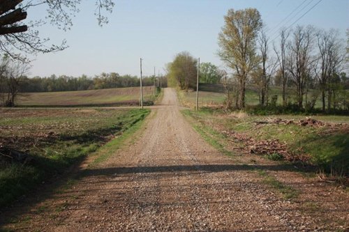 Property photo 14 - 641 Acres Offered in 16 Tracts - 545 Cropland Acres